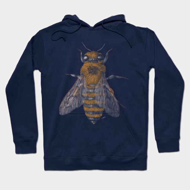 Honey Bee Hoodie by Walking in Nature